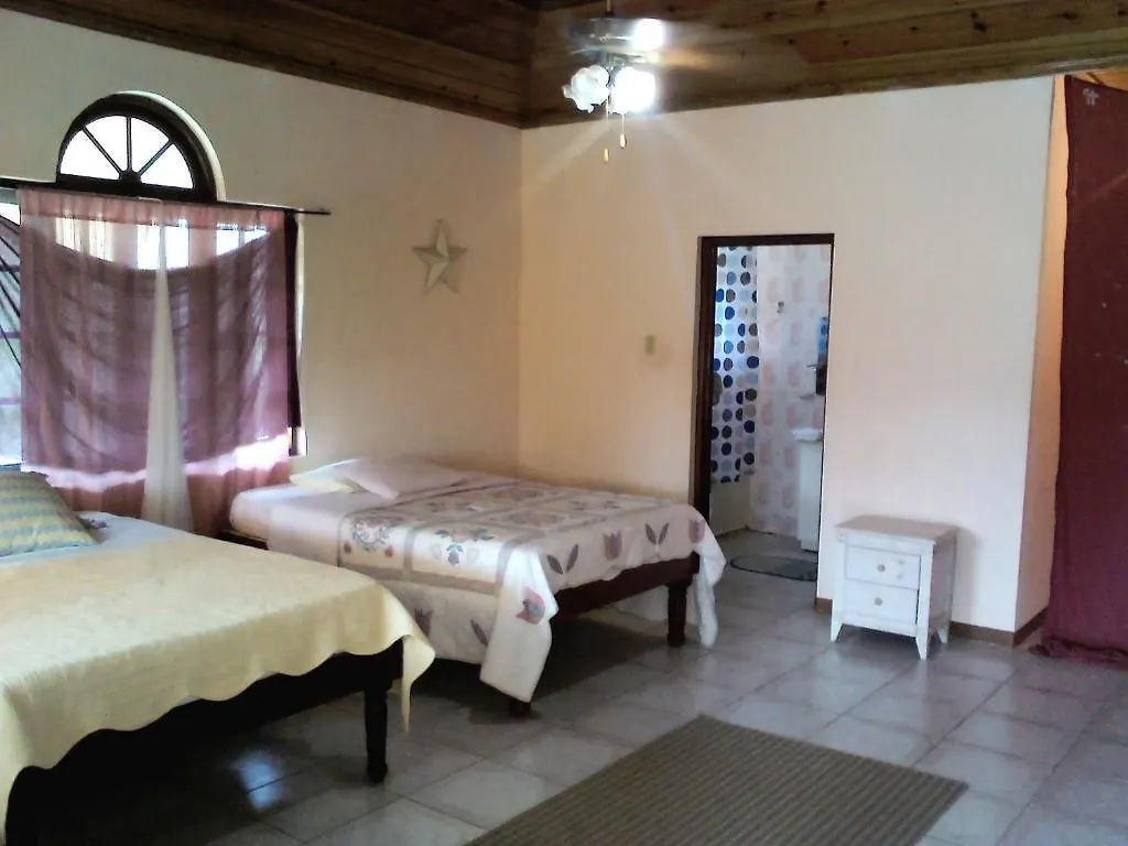Dolphin Bay Yoga Guest House Drapers