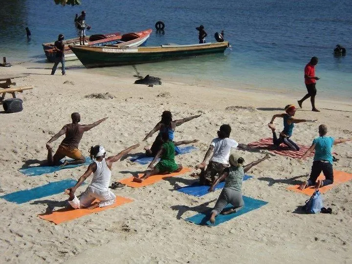 Dolphin Bay Yoga Guest House Drapers